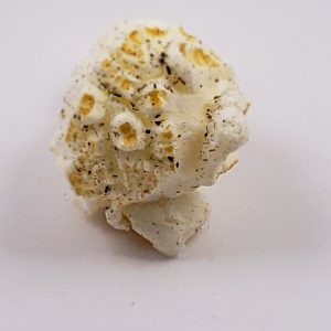 Lemon Thyme Flavored Kettle Popcorn